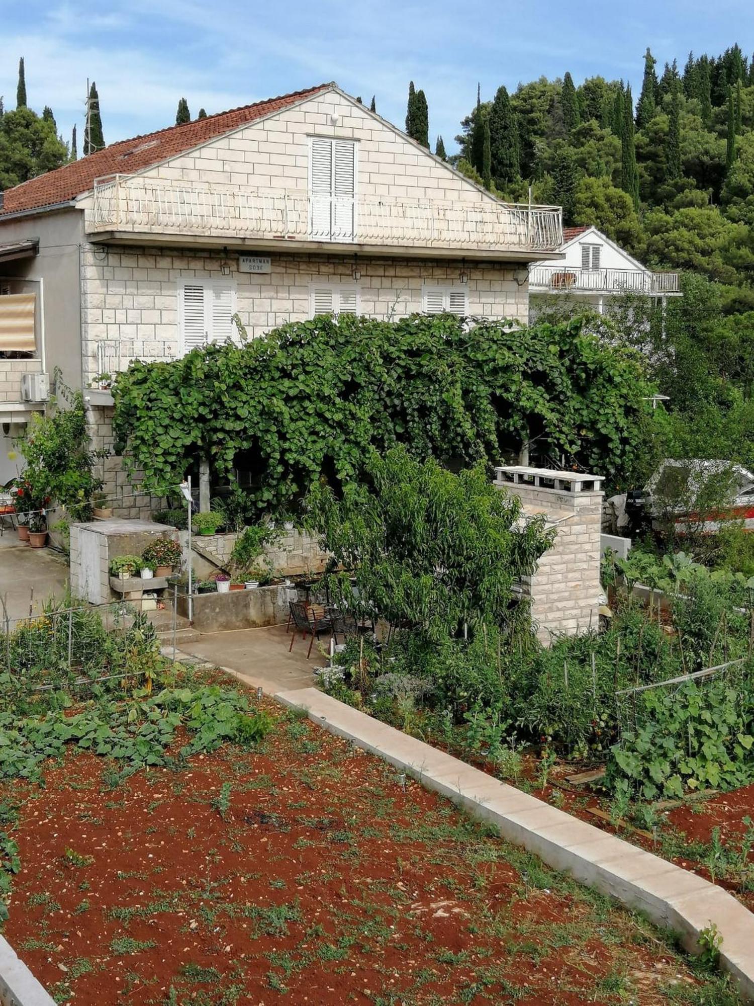 Apartments Marita Korčula Стая снимка